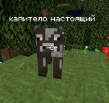  экрана 2024-09-14 230108.jpg