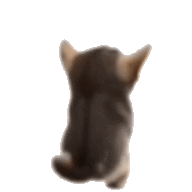 GeniyKomnat