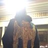 RAFIQ00
