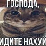 ILostMyMoney