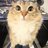 SkyDea9_